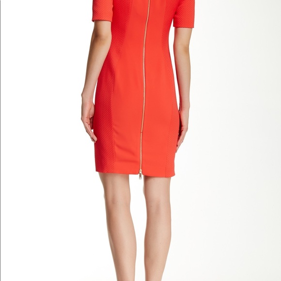 Ted Baker  London , black dress🎊 Sale🎊 - Picture 4 of 5